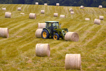 Prairies - Boucherie Halal Les Prairies - Valliquerville - Yvetot - Rouen - Le Havre