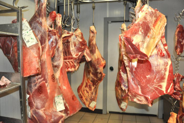 Carcasses - Boucherie Halal Les Prairies - Valliquerville - Yvetot - Rouen - Le Havre